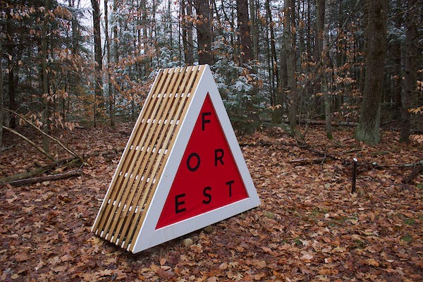 A triangular structure has lettering spelling the word "forest," while appearing in the woods.