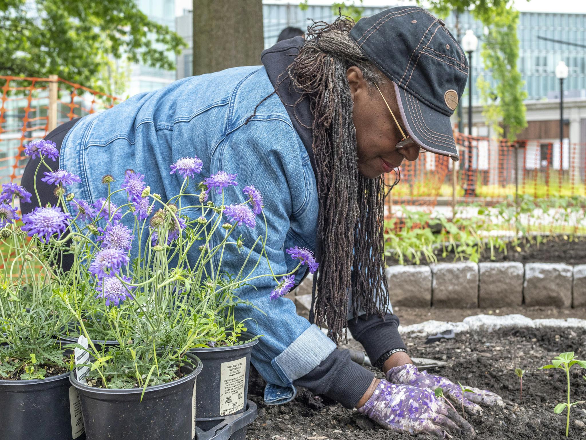 Ekua Holmes, wearing gloves, kneels over a garden, beside a pot of purple flowers.