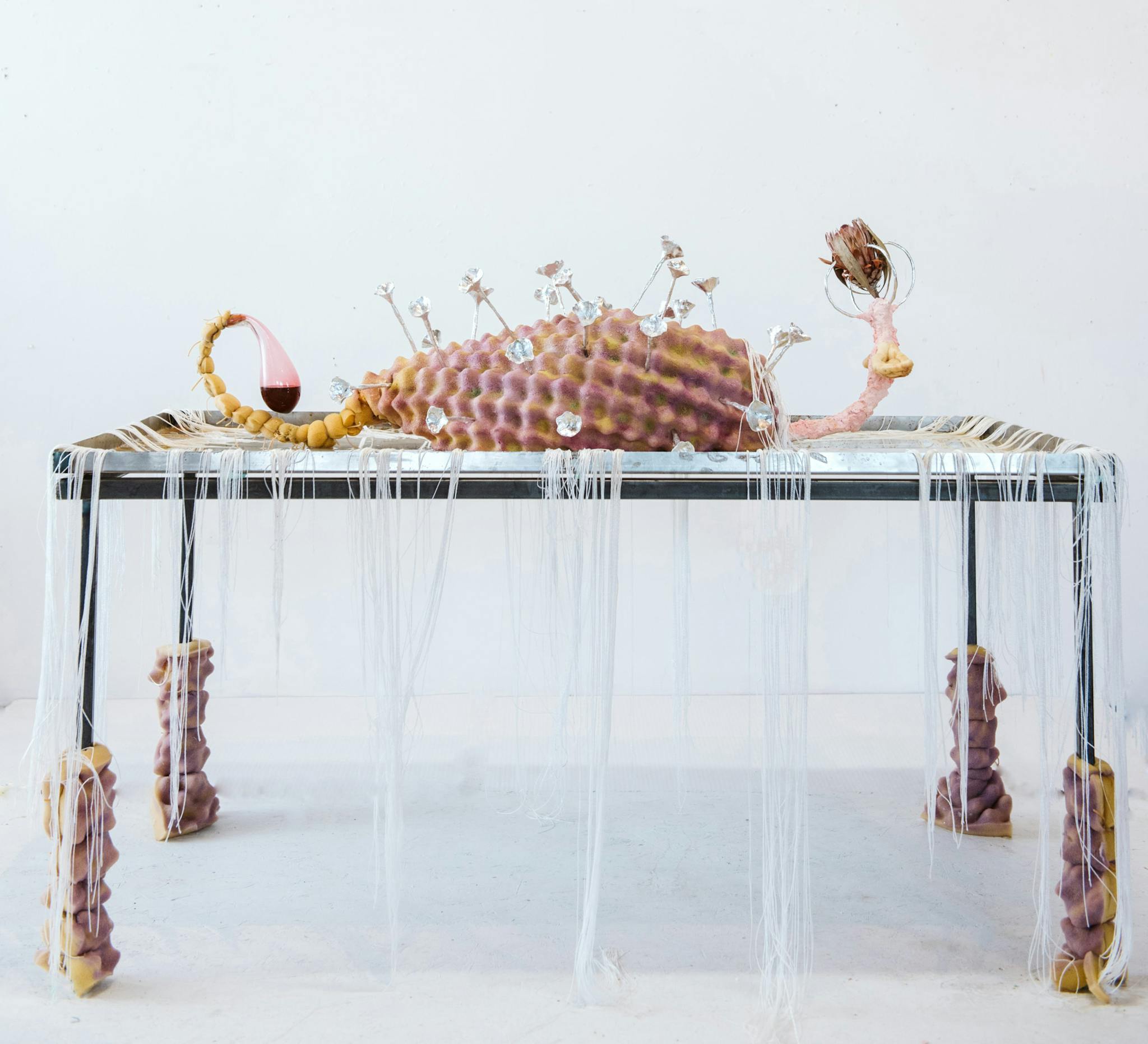 A table with an artistic display by Estefania Puerta on top against a white background.