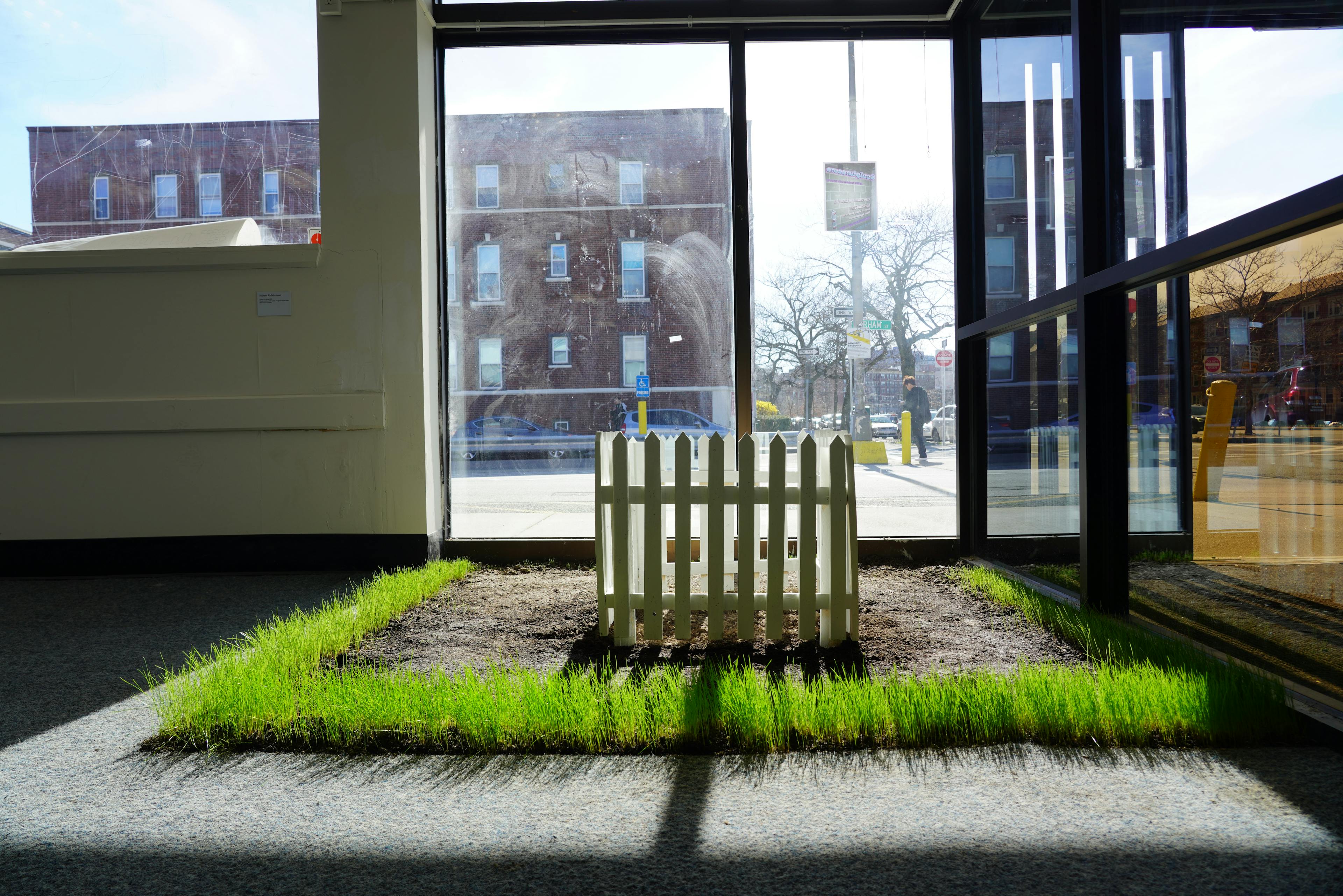 A white picket fence emerges in a patch of green grass in the indoor exhibition space.