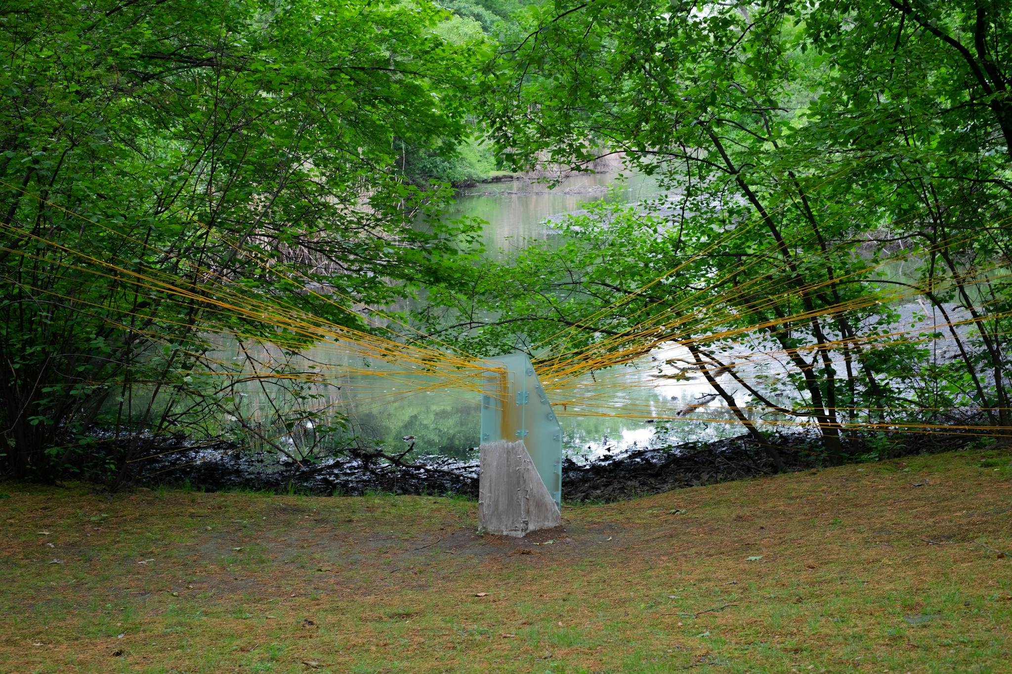 An installation emerges in an outdoor scene of a lush forest with a pond.