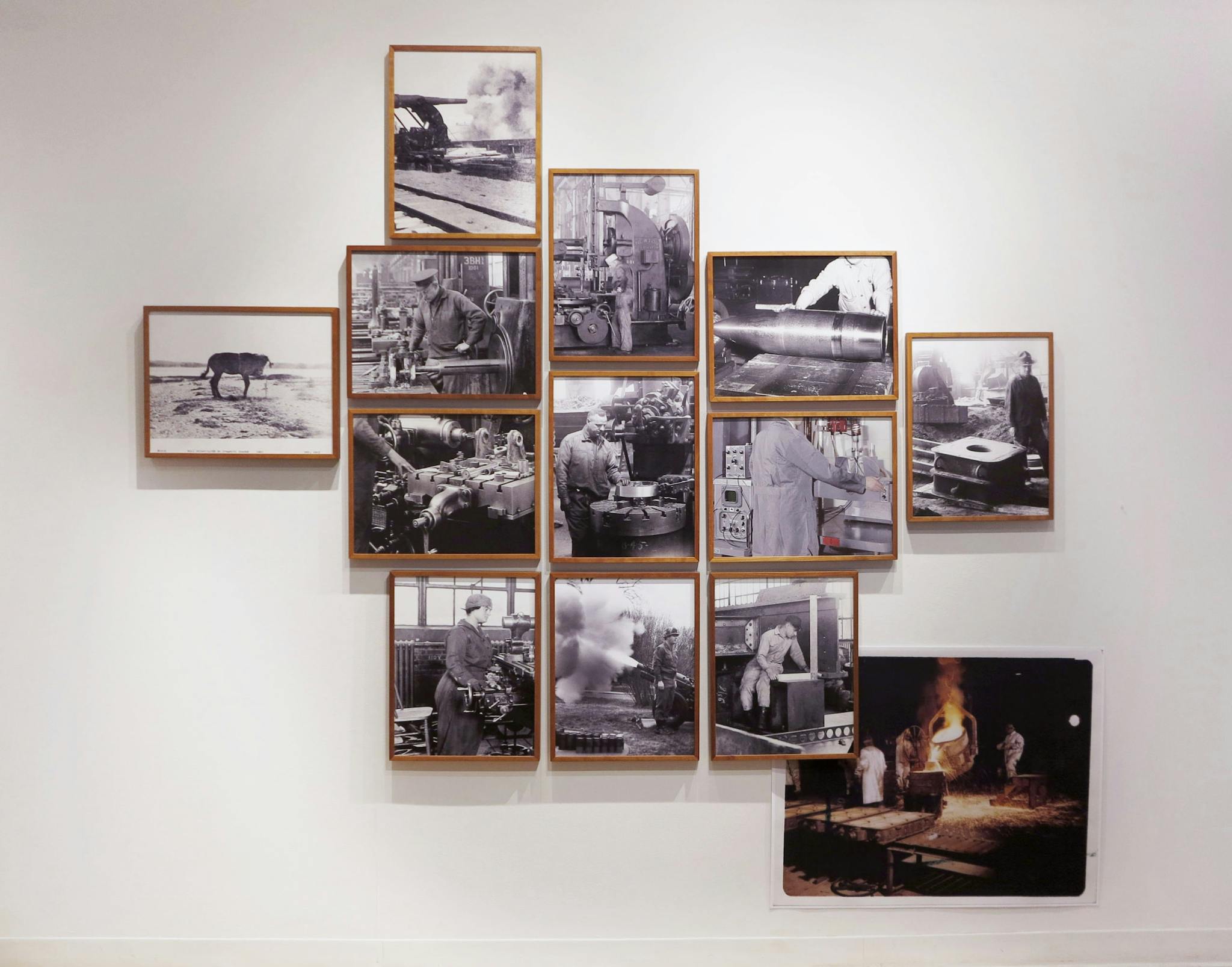 Twelve photographs are assembled on the wall, with a loose print appearing at the bottom of the scene.