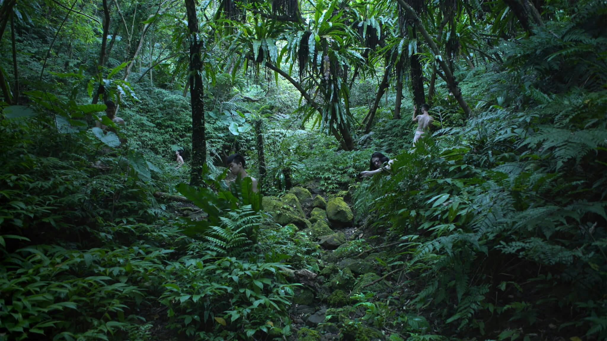 An image of a green jungle by Zheng Bo.