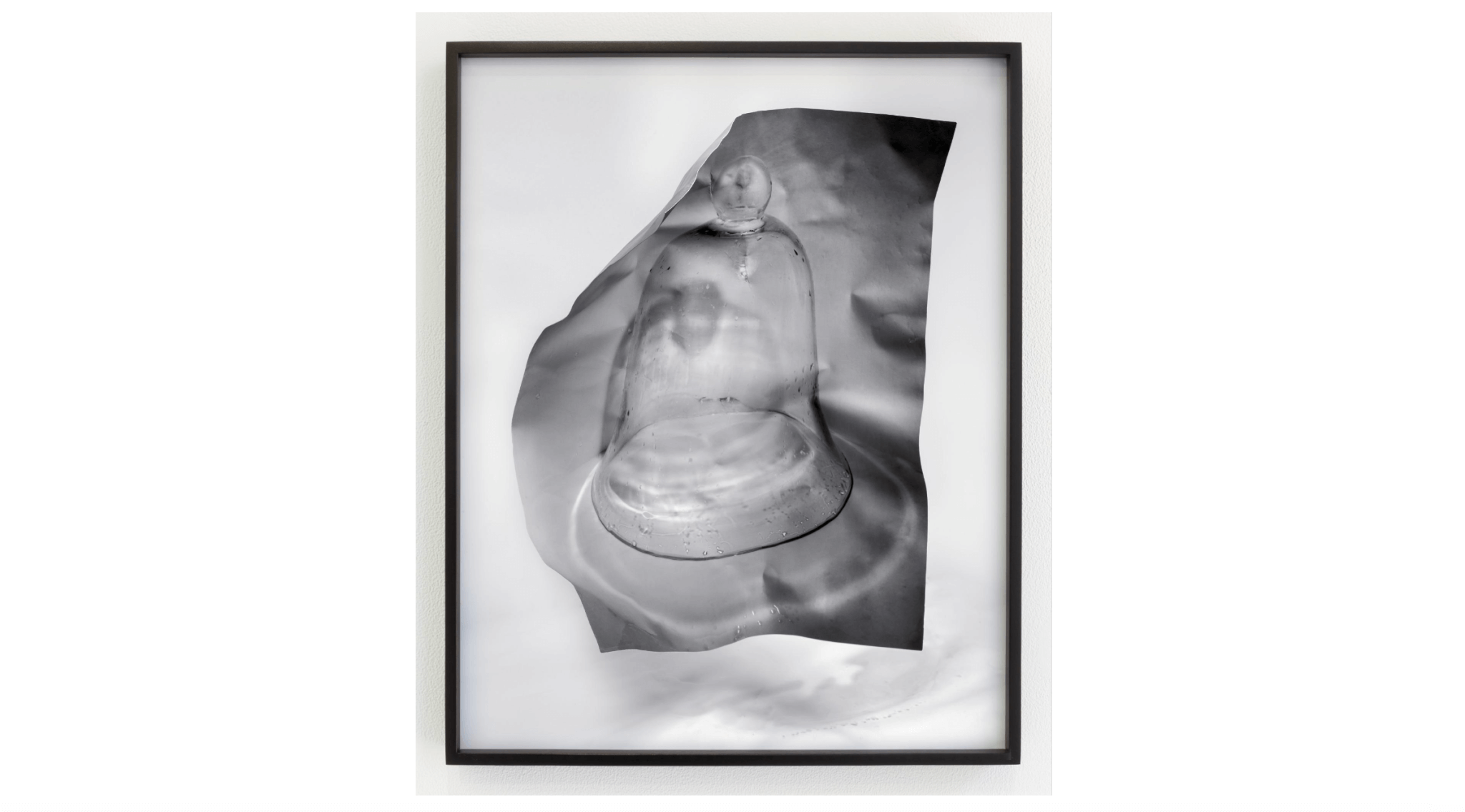 Image of "Bell jar study no. 3" by Kate Greene