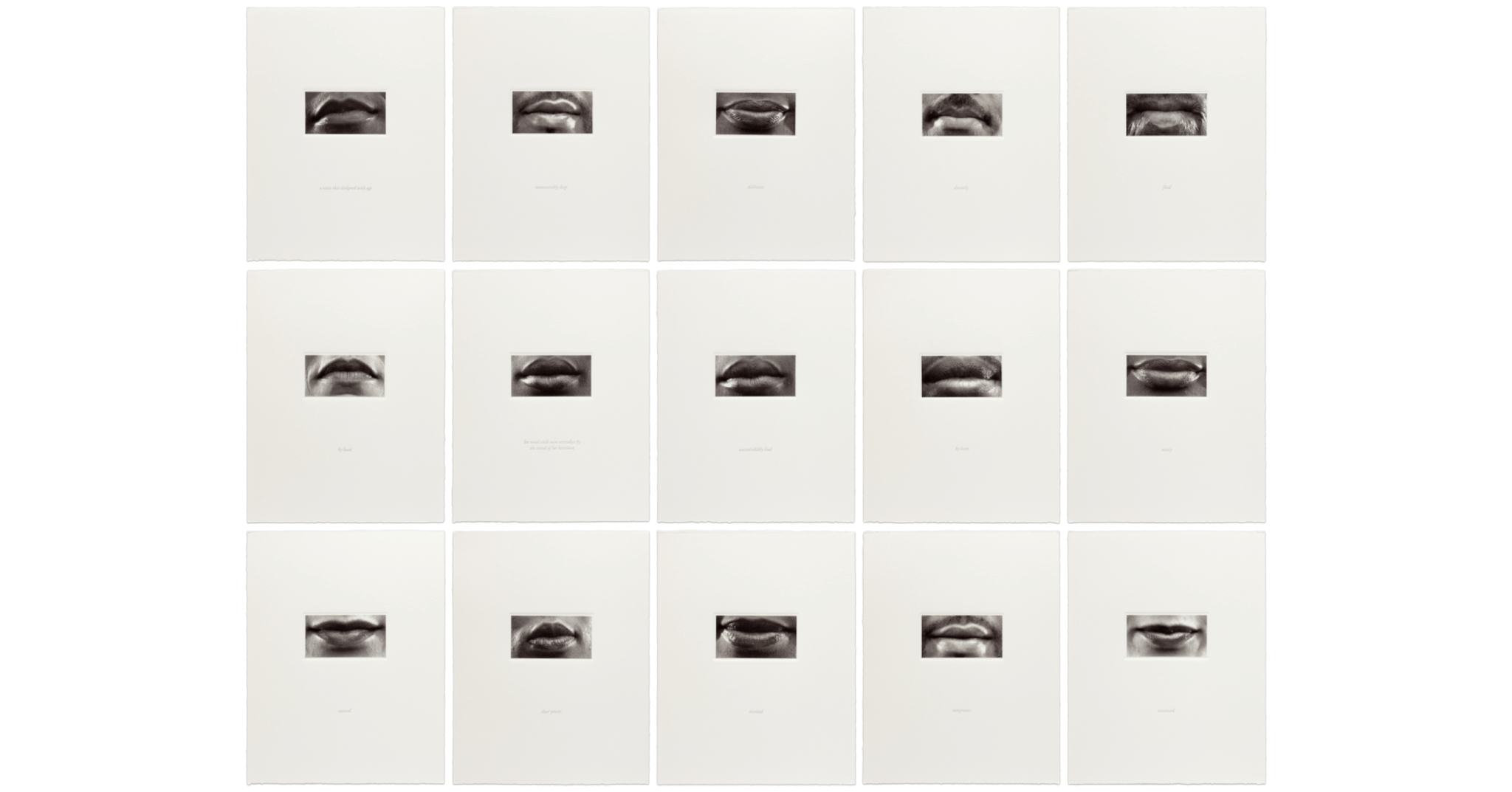 Image of "15 Mouths" by Lorna Simpson
