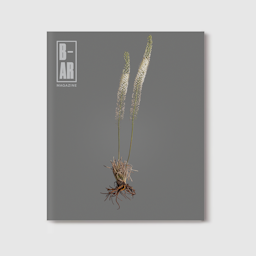 Issue 07: Rooting - BAR7Cover-Square