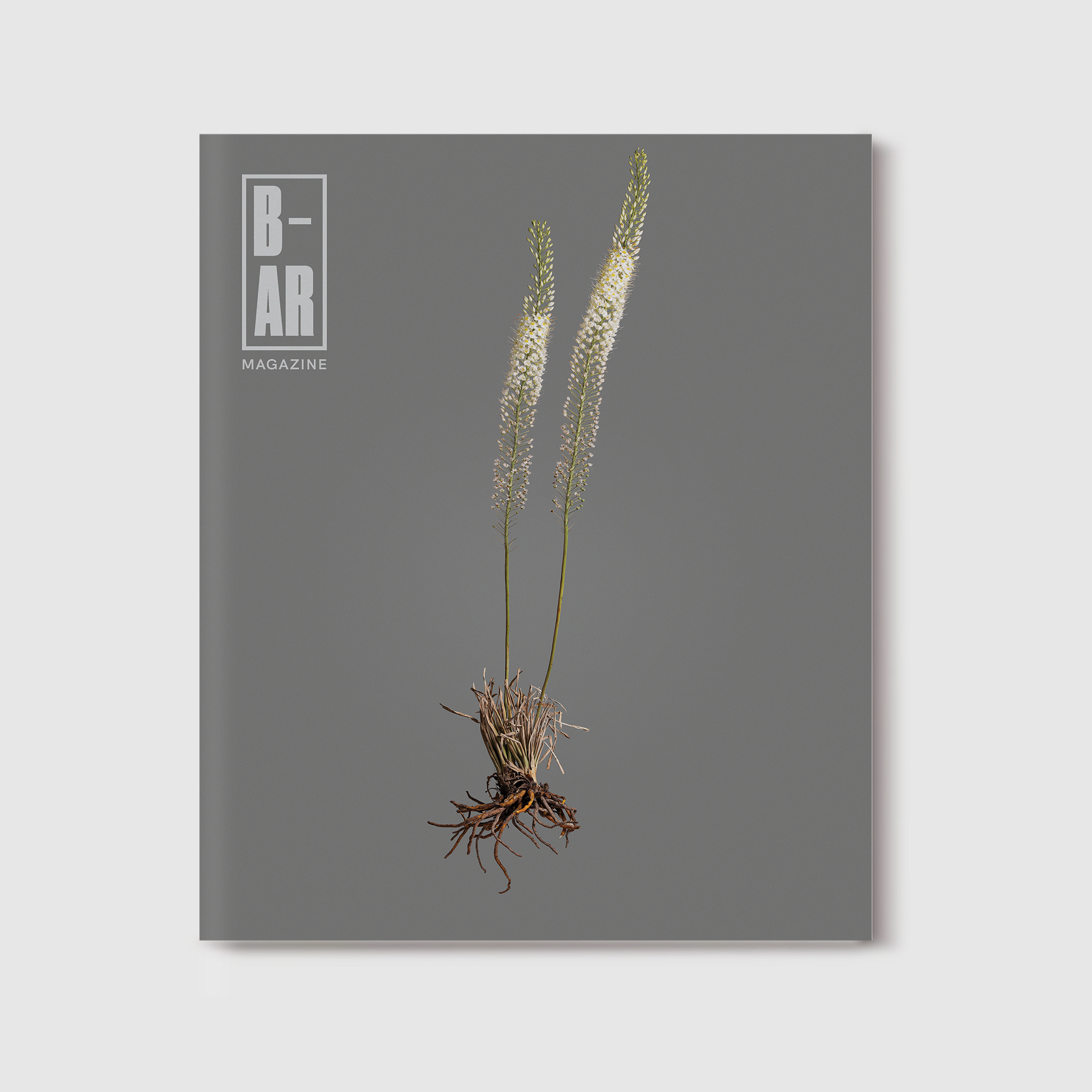 Issue 07: Rooting - BAR7Cover-Square